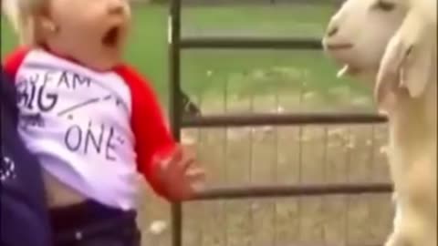 Very beautiful funny video children