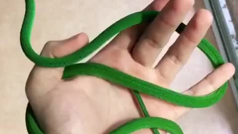 SNAKE!! nature is amazing