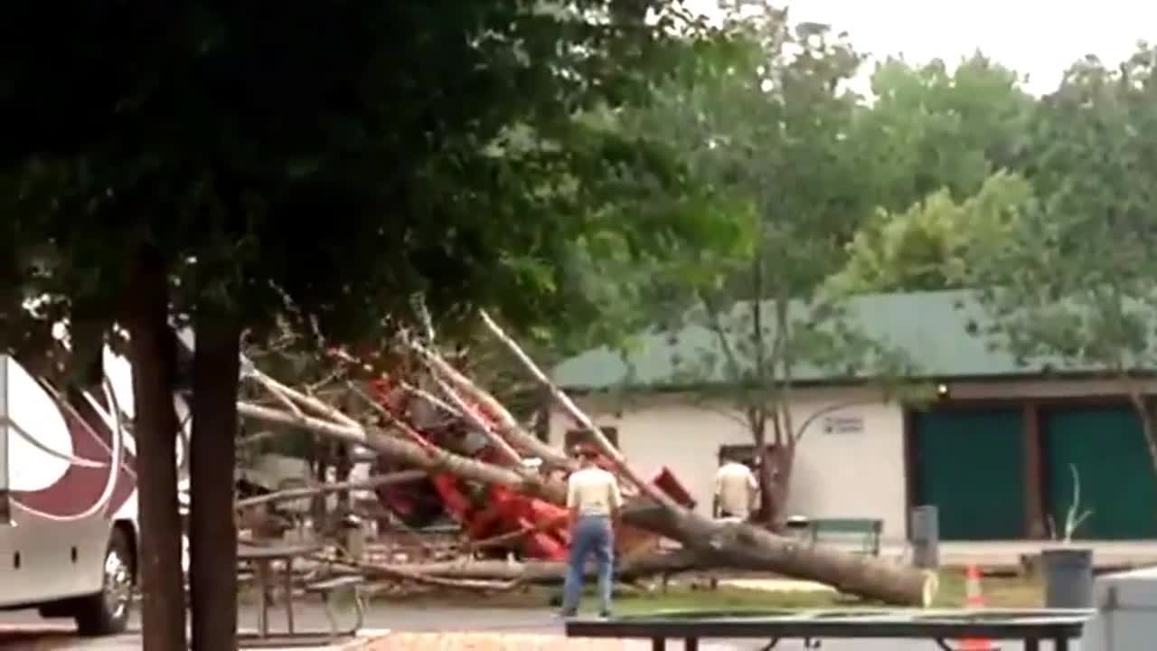 Tractor vs. Tree