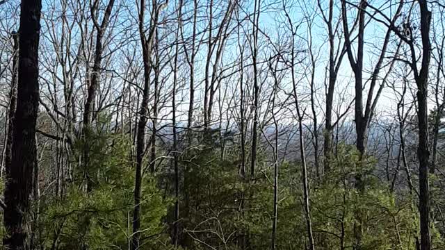 2000 ft up on Cohutta