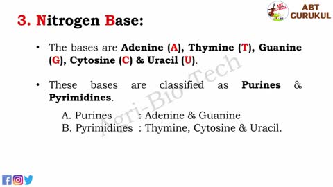 Nucleotide,nucleotide structure,nucleotide metabolism