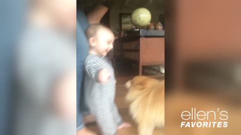 Funny moments of babies