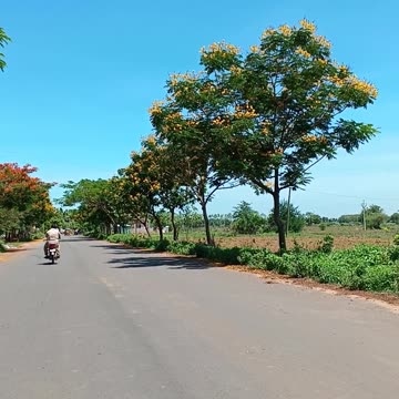 s #shortsph #jeanshorts #denimshorts #shortsjeans #boardshorts #shortsleever