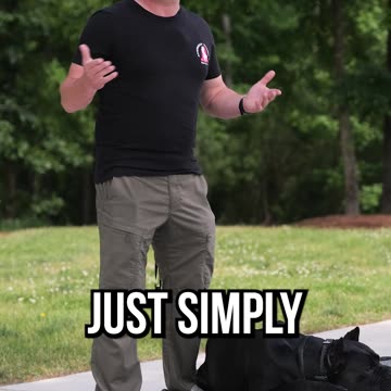 Why Your Dog Needs To Know the Place Command