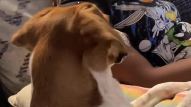 He think he slick 😭