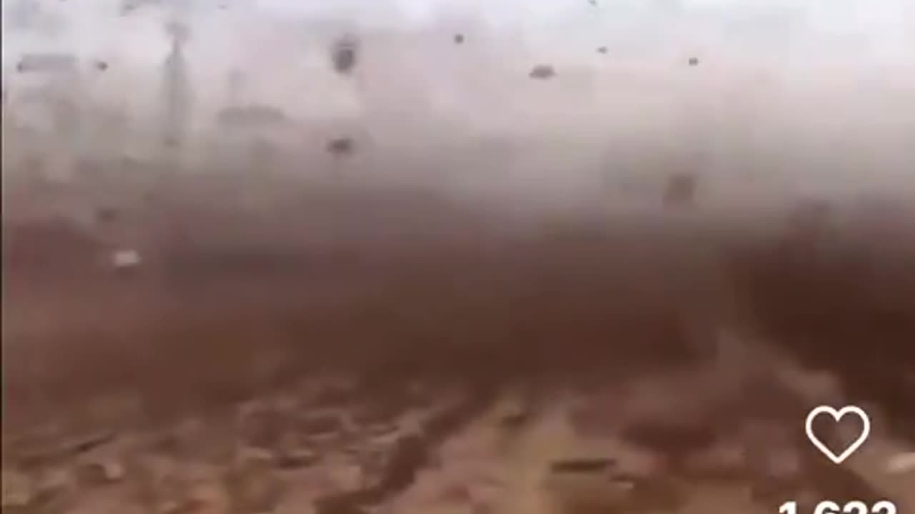 Locusts in Saudi Arabia