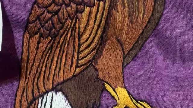 Bald eagle hand embroidery project