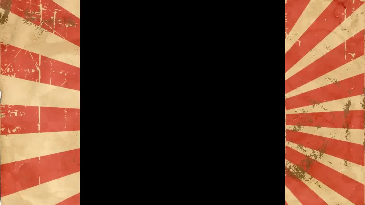 BEST COMPILATION FUNNY BIRDS #1