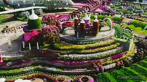 Miraclcle garden dubai