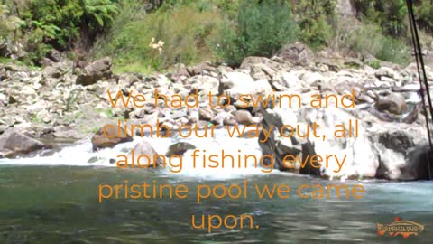 Swimming and Climbing our way out of New Zealand Bush