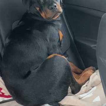 He’s never gonna forget this