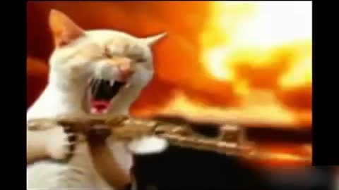 ANIMALS can sing and dance