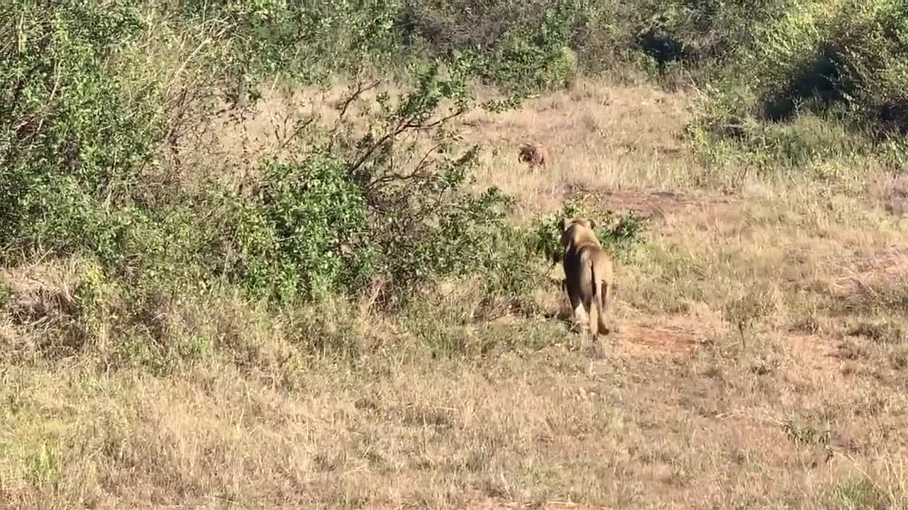 Nairobi National Park