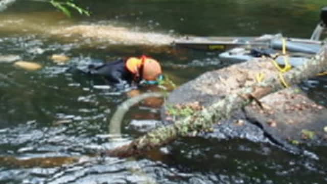 VA Gold On the Creek Slate River June 2008 1