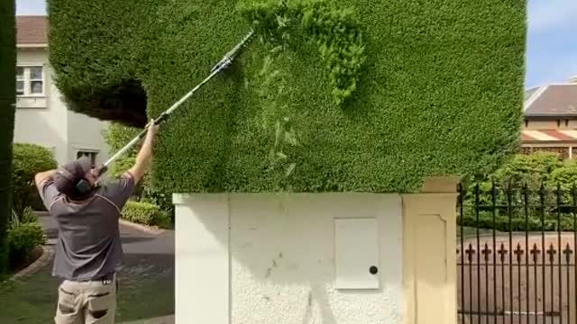 A Satisfying Example of Perfect Hedge Trimming