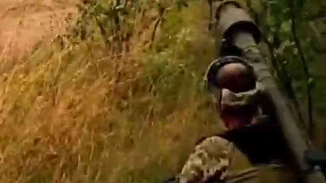 German "Gepard" in service with the Armed Forces of Ukraine in all its glory