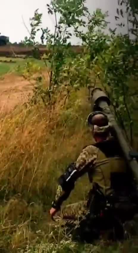 German "Gepard" in service with the Armed Forces of Ukraine in all its glory