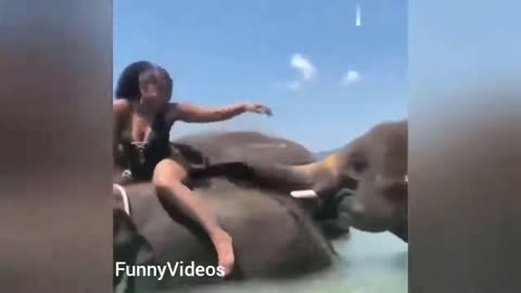 elephant smacks ass of hot girl