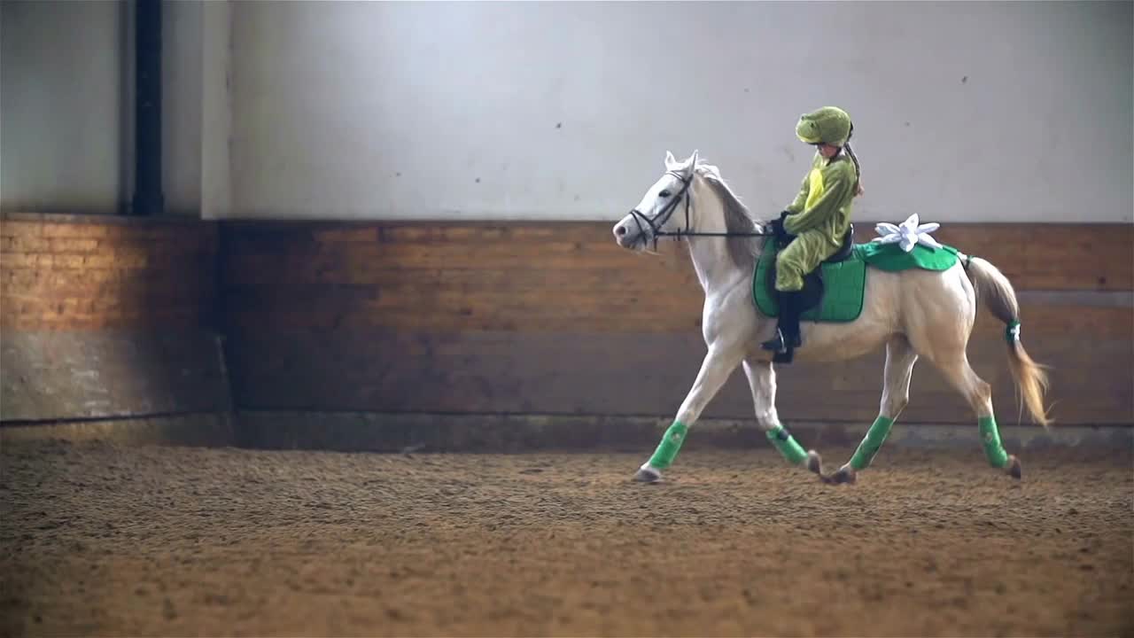 Slow Motion Frog Masquerade Riding White Horse