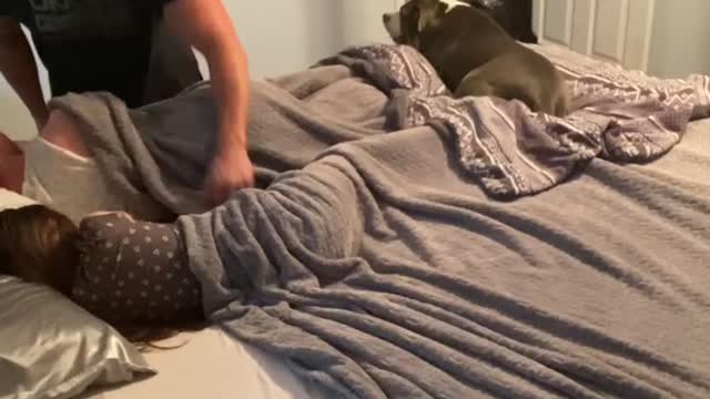 Dog protects even when it’s another family member