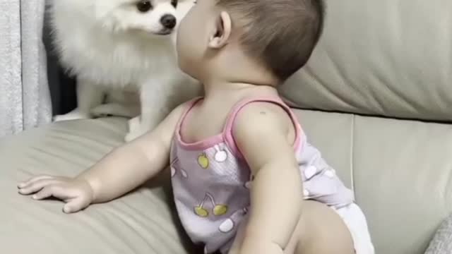 Cute baby want to kiss his beautiful dog..