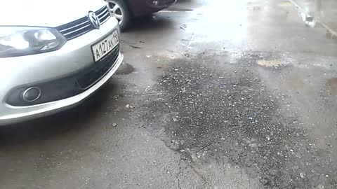 My Friend's Jaguar