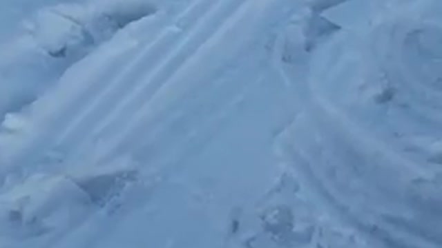 Dog Dragged out of Freezing Predicament