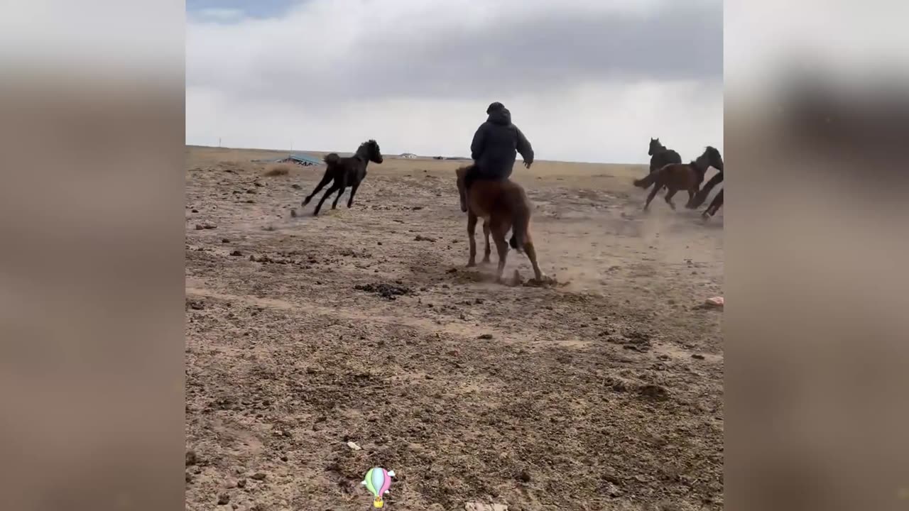 Conquering a Steed