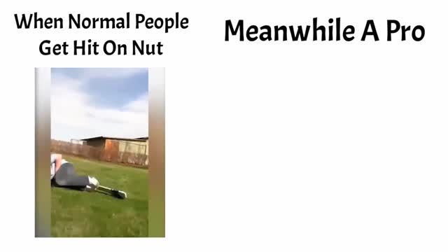 normal vs pros after getting hit on nuts