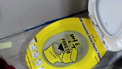 Strange Korean Pulnger