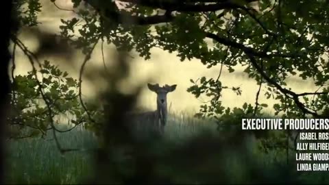 2022 - The Quiet Epidemic Documentary