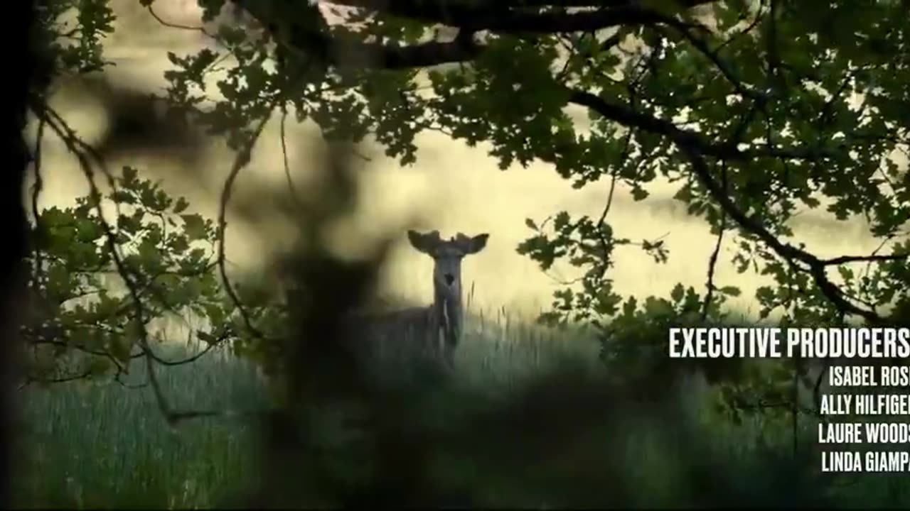 2022 - The Quiet Epidemic Documentary