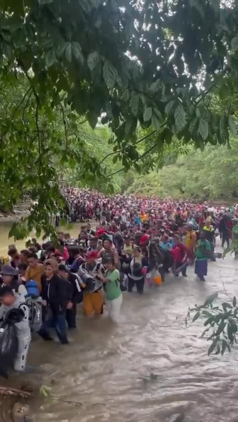 Invasion of the USA !!