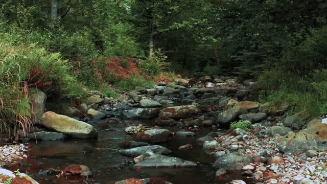 Along the river