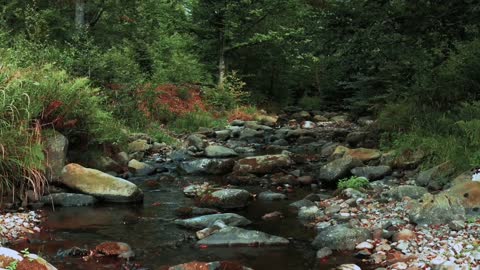 Along the river