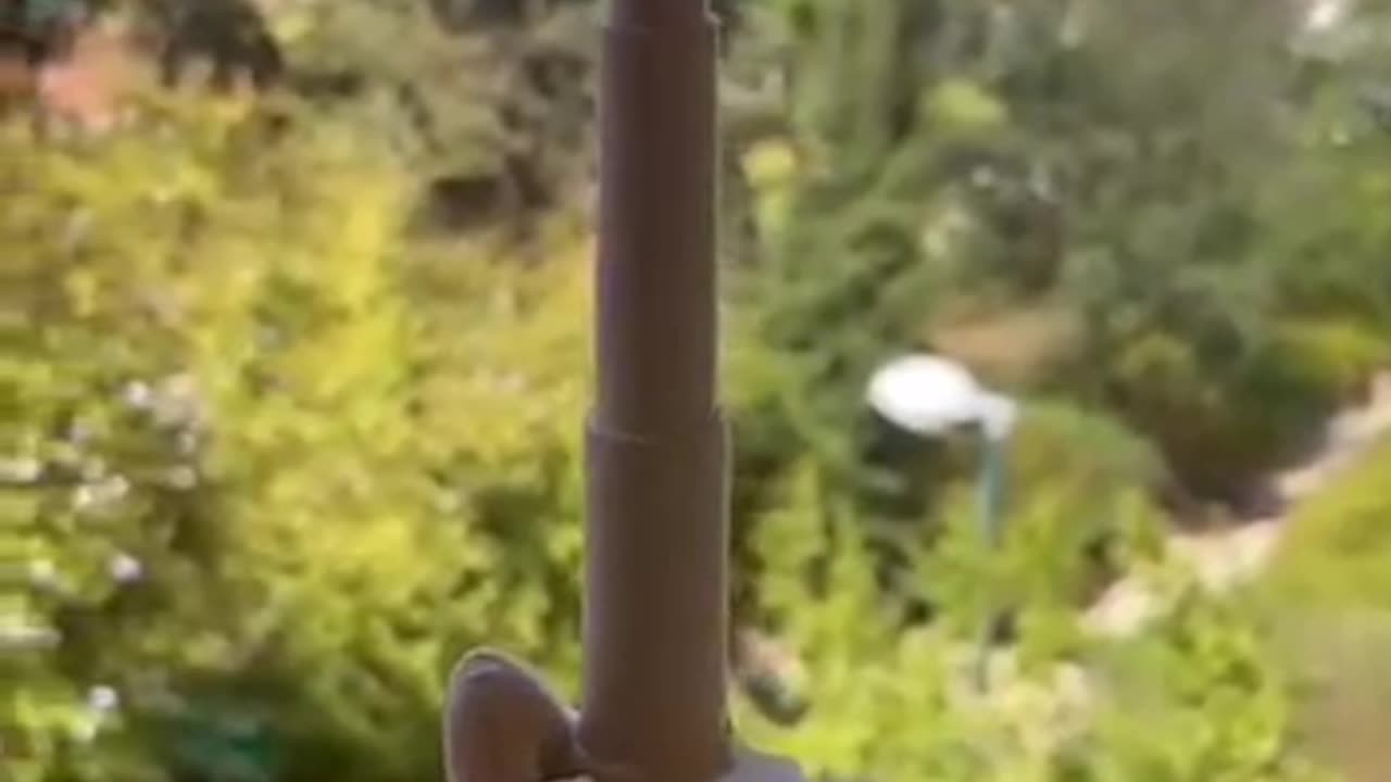 taking flipping someone the bird to a new level.