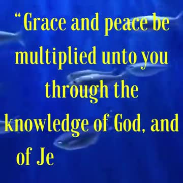Grace and peace be multiplied unto you through the knowledge of God