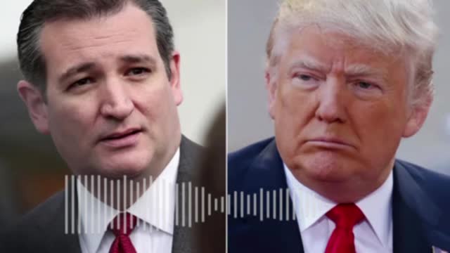 Ted Cruz and Donald Trump Audio Clip!