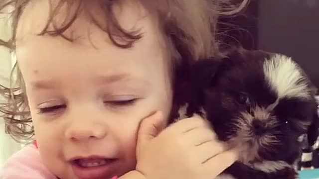 Look at a child's reaction to getting a dog