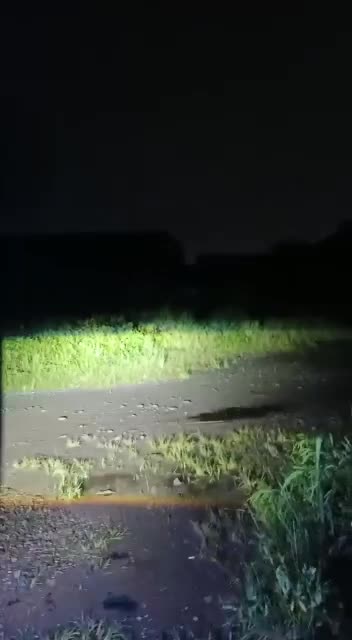 a very bright beam of light from the modified bus lights