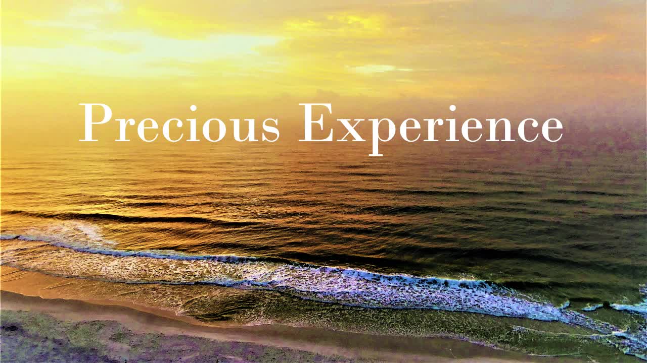 Precious Experience