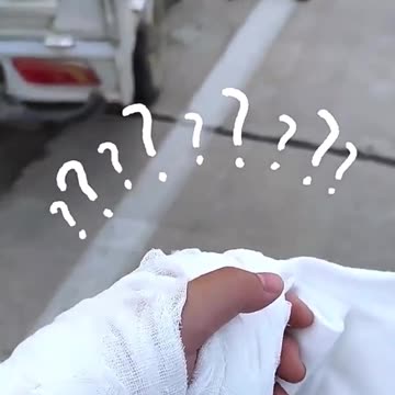 Dogs Imitate Humans in Most Hilarious Ways🤣🤣🤣