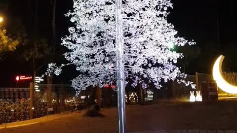 white tree