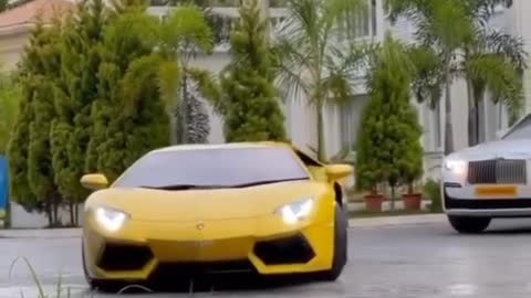 My house and car enjoy now