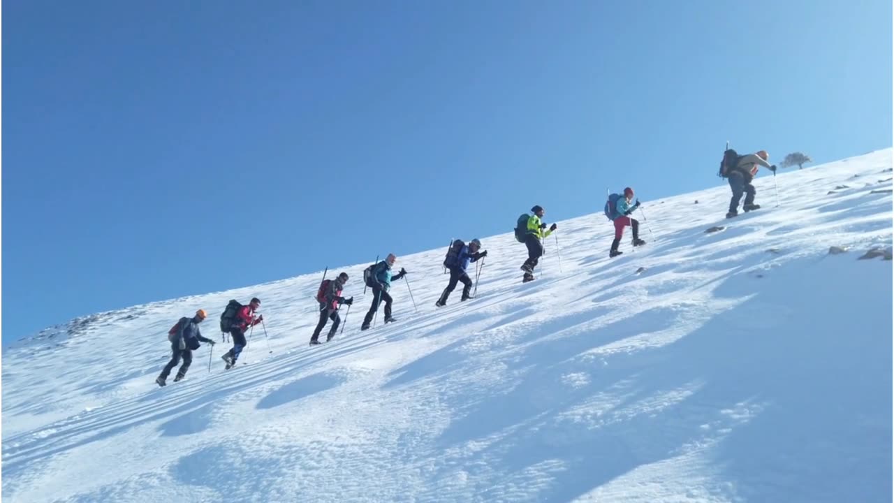 Ice Land