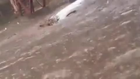 Danger of water flood in India 2023