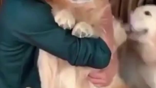 65- Cute, cute and happy as they should be #funny