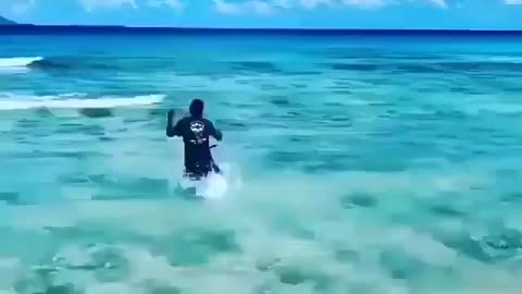 This is a beautiful and charming water-dwelling species