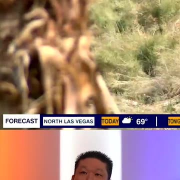 Liberals Still Don't Get What's Causing Homelessness