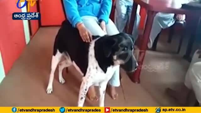 Best Pet Dog puts up Valiant Fight to save Owner from Leopard Darjeeling